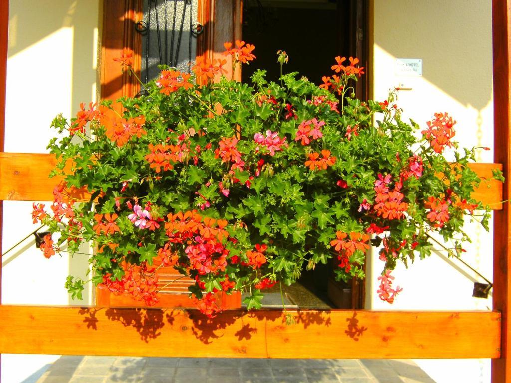 יאלהיי B&B Le Petit Normand מראה חיצוני תמונה